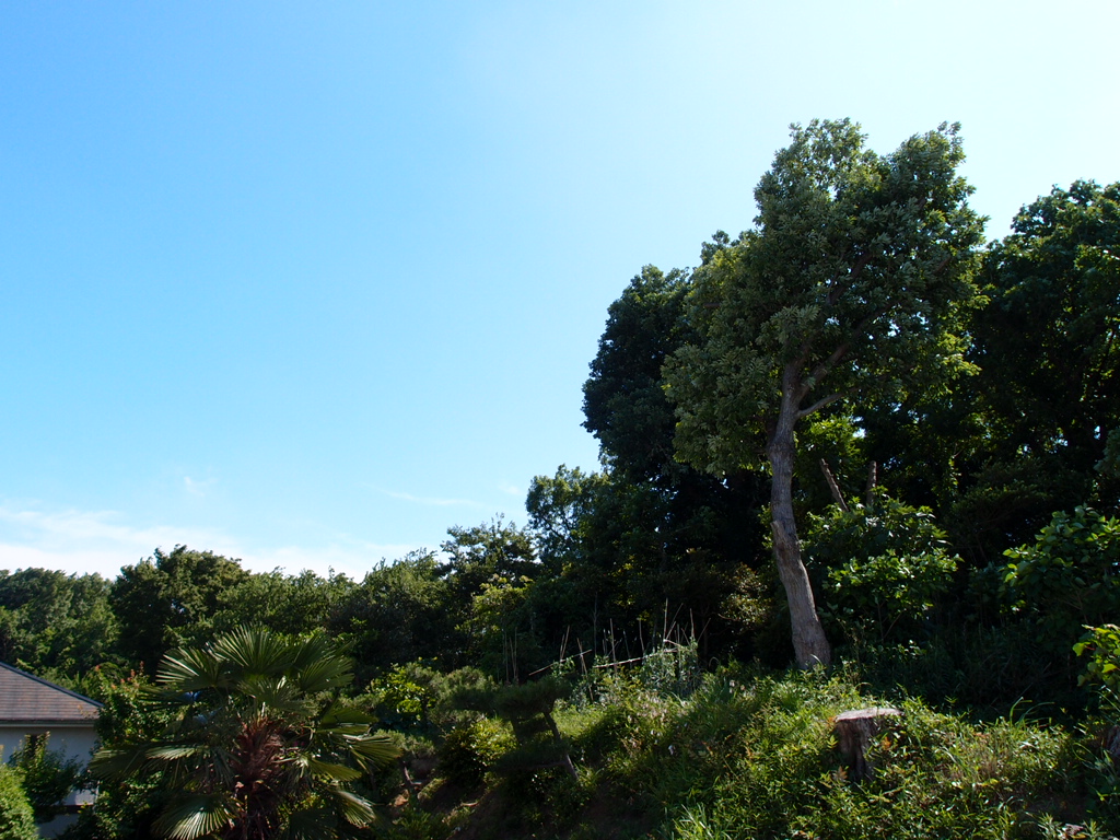 a0116902_2132132.jpg
