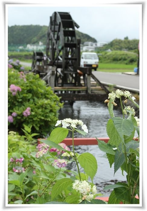 安並水車の里公園( 四万十市）_a0057905_23494399.jpg