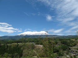 c0050708_621380.jpg