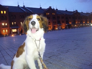 d0221508_21552340.jpg