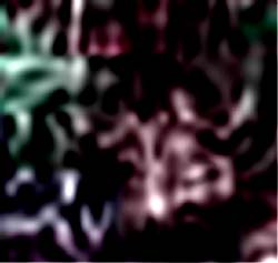 e0103408_1010932.jpg