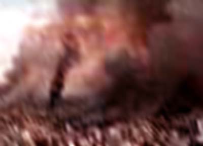 e0103408_1011186.jpg