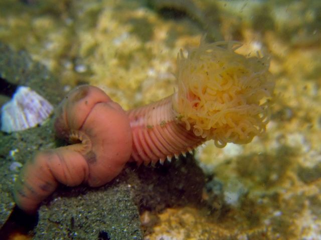 d0175710_2233080.jpg