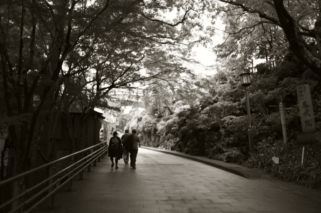 d0143011_22282.jpg