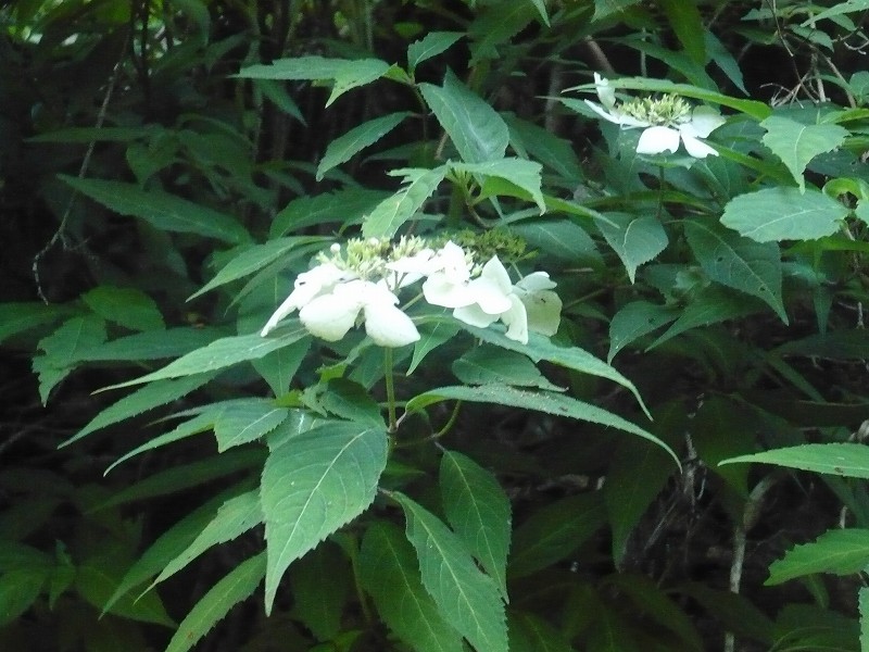 f0182513_04115.jpg