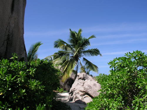 La Digue ②_b0093515_727291.jpg