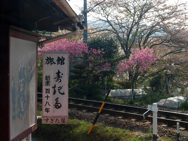 家山の老舗旅館（大井川５）_c0184522_1213117.jpg