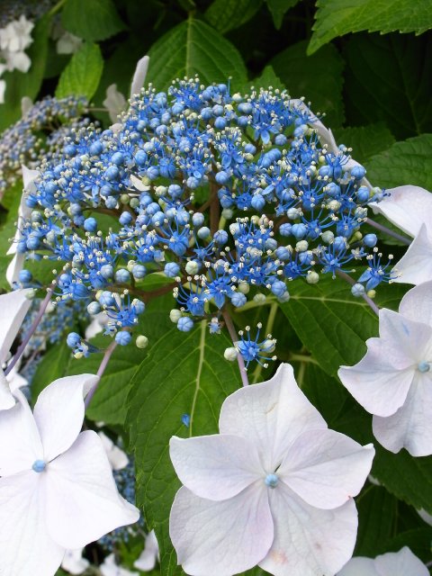 f0209122_1742862.jpg