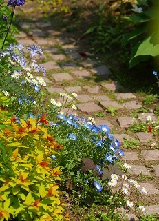 f0170524_14174710.jpg