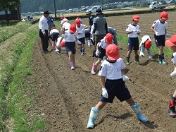 南中山小学校が大豆の種まきをしました。_e0061225_11362692.jpg