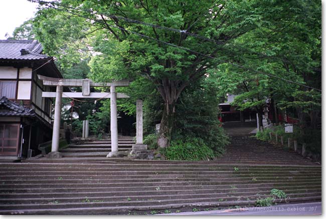 c0221529_2113972.jpg
