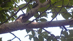 f0161535_23173126.jpg