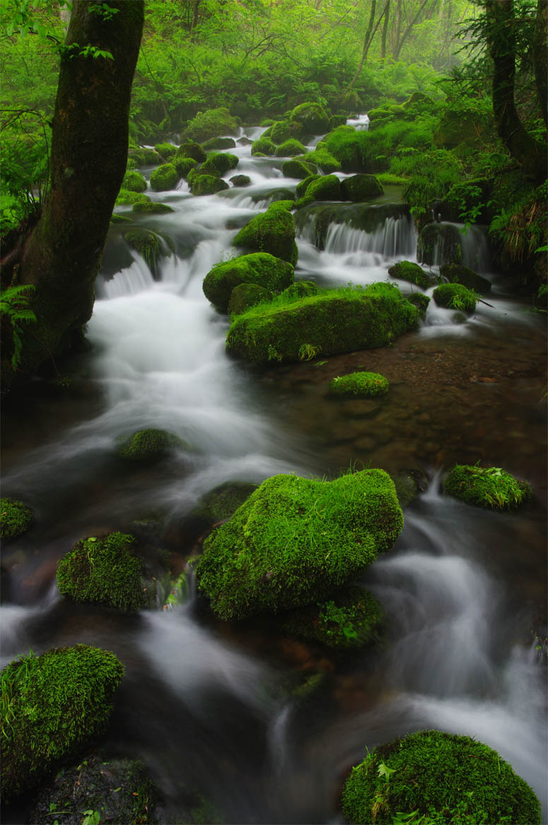 江府町／橋の上から_f0227938_913917.jpg