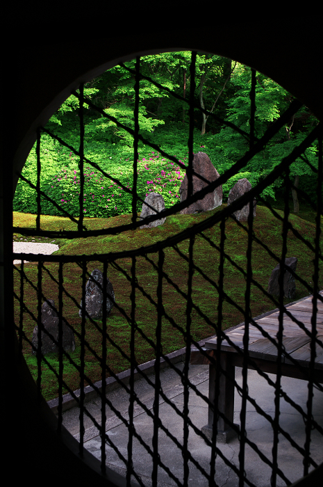 彩りの庭(東福寺塔頭・光明院)_f0155048_032355.jpg