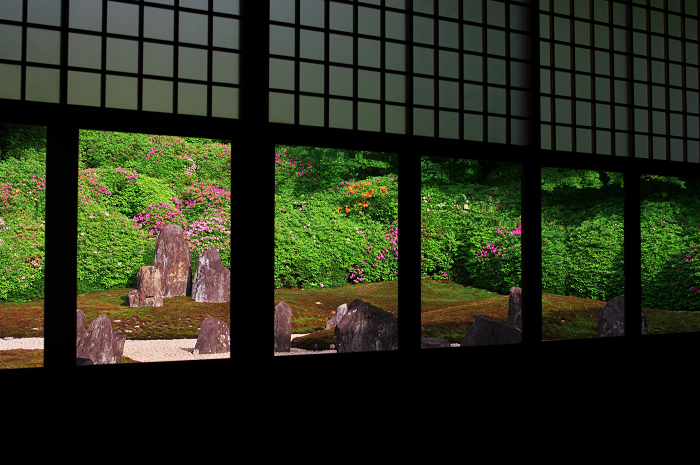 彩りの庭(東福寺塔頭・光明院)_f0155048_035019.jpg