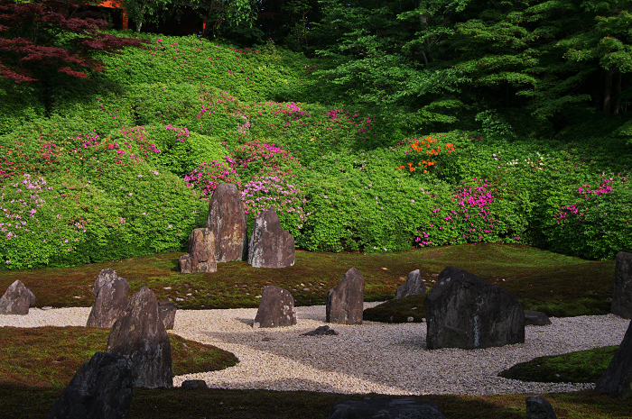彩りの庭(東福寺塔頭・光明院)_f0155048_03953.jpg