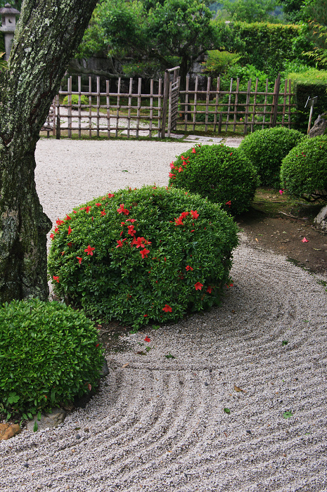 サツキ咲く新緑の圓光寺_f0155048_1253777.jpg