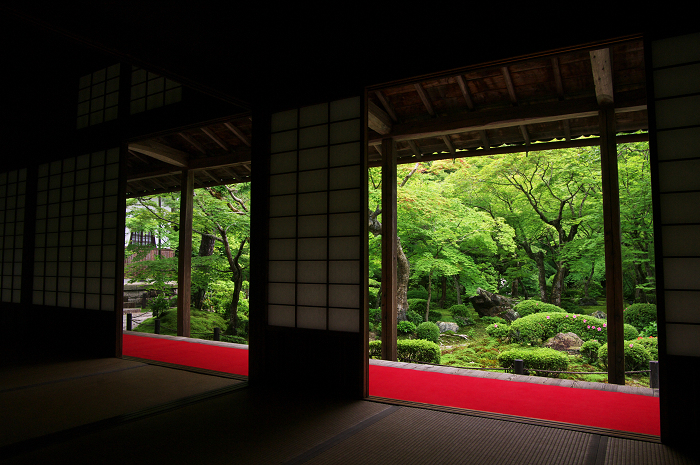 サツキ咲く新緑の圓光寺_f0155048_126338.jpg