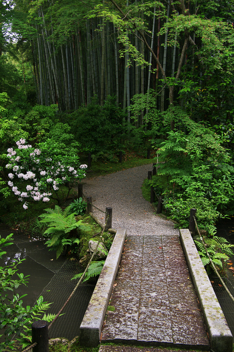 サツキ咲く新緑の圓光寺_f0155048_1263987.jpg