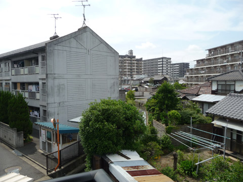 【6月8日(水)】路地猫…。_c0221349_17305844.jpg