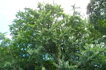 b0025850_23364692.jpg