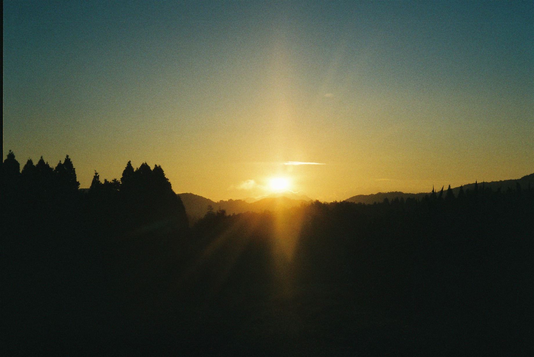 a0174458_15243046.jpg