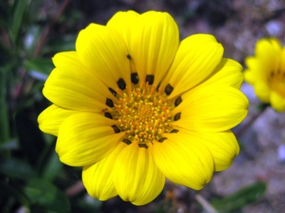c0190960_7244566.jpg