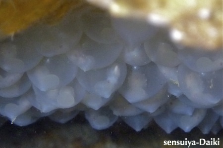 2011.06.04 Sat. みなべ・田辺_e0158261_7181167.jpg