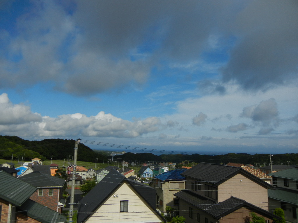 2011年6月8日(水)コスモスが咲いている!_f0060461_1711086.jpg
