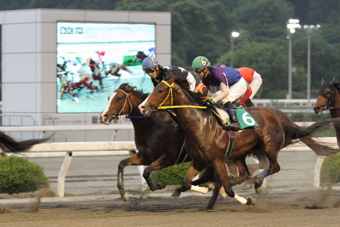 2011年6月4日（土） 高知競馬 6R 3歳-1_a0077663_754713.jpg