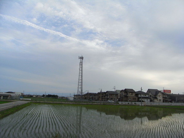 b0194267_1985685.jpg