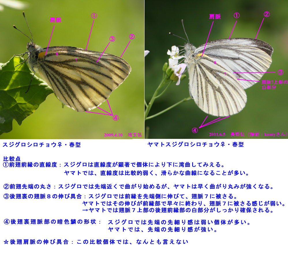 a0146869_74976.jpg
