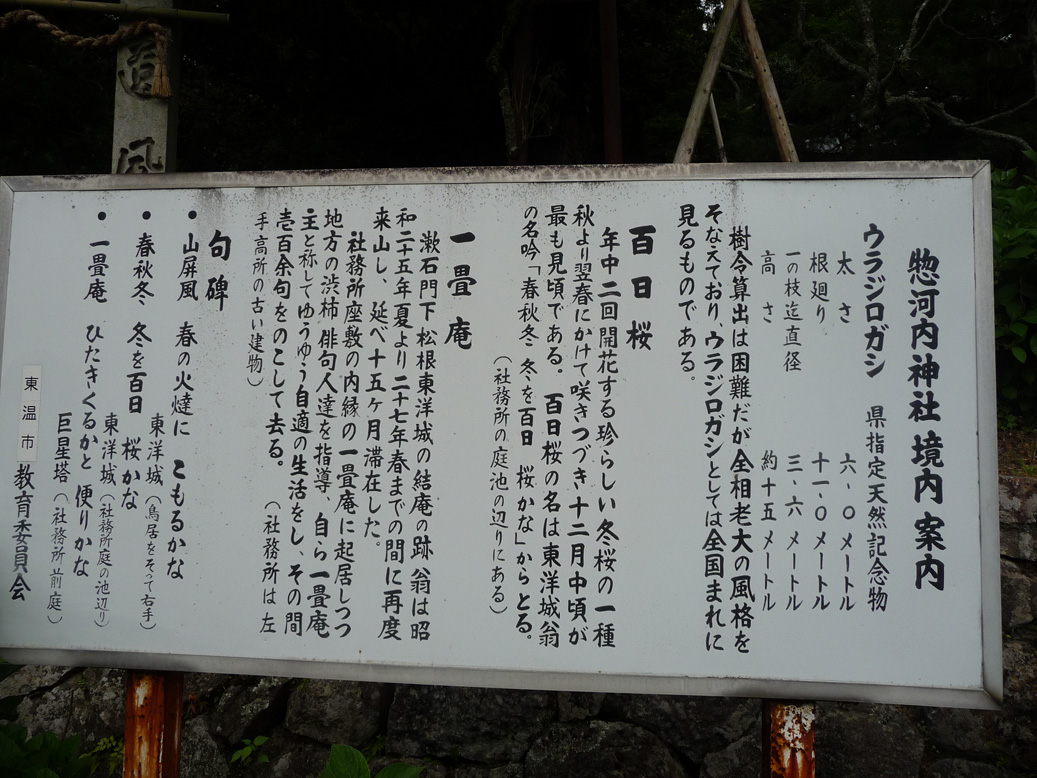 中央構造線境界線上に鎮座する 惣河内神社 愛姫伝 中央構造線境界線上に鎮座する 惣河内神社 愛姫伝