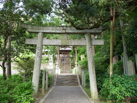 中央構造線境界線上に鎮座する 惣河内神社 愛姫伝 中央構造線境界線上に鎮座する 惣河内神社 愛姫伝