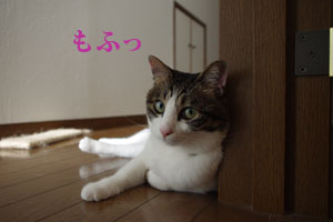 f0238772_0112339.jpg