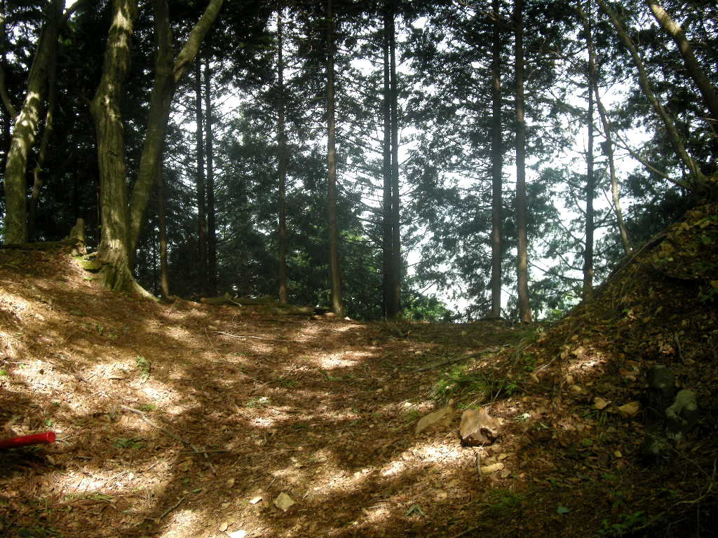 高速無料あと2週間　若丹尾根・養老山～三国岳へ_b0185573_1554211.jpg