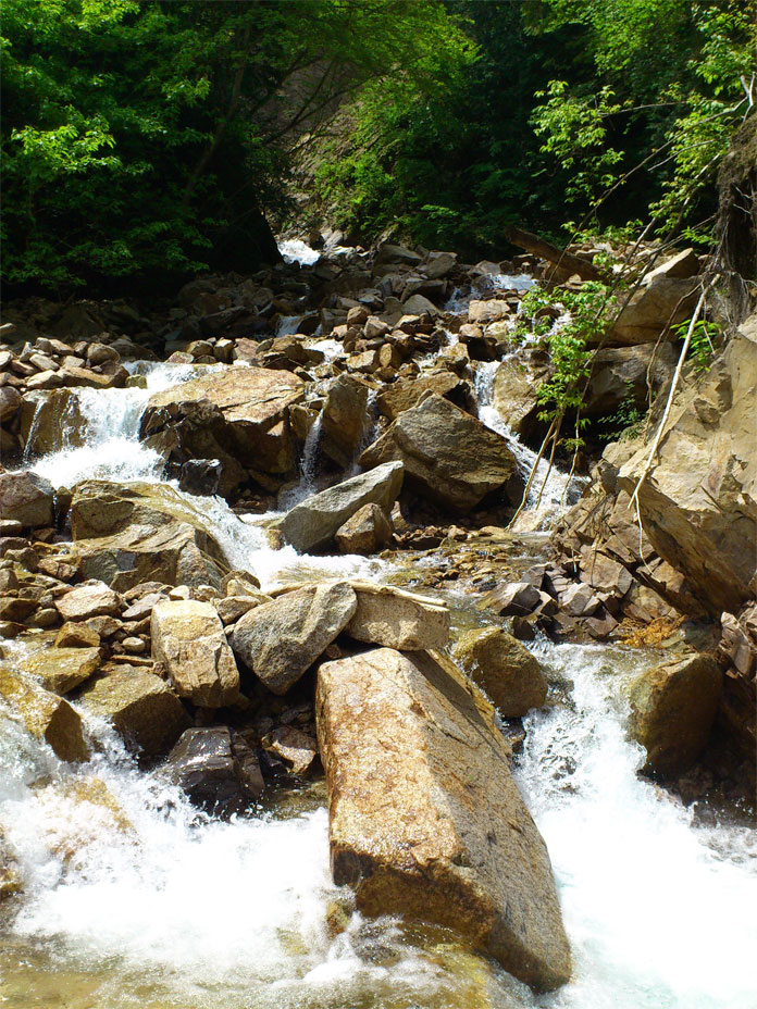 安曇野・天満沢遡行（2011/06/07）_c0220374_9301180.jpg