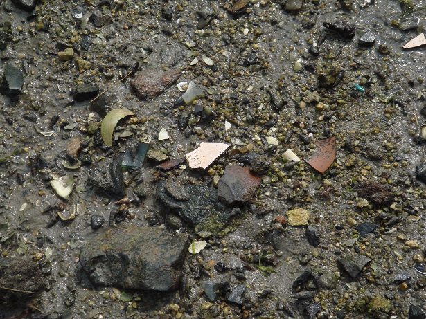 e0060485_928154.jpg
