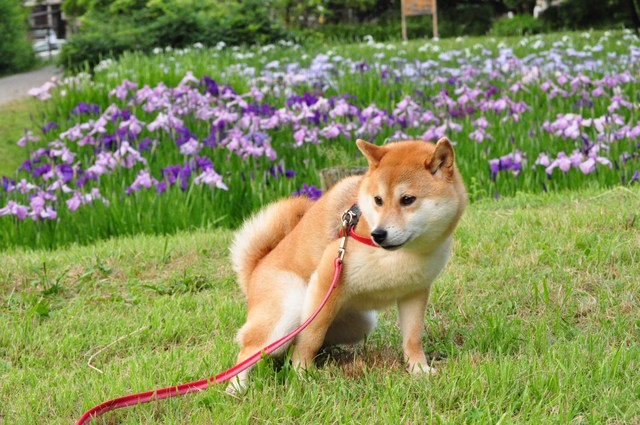 昨日の私_a0126590_6211997.jpg