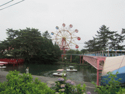 c0078592_10234868.gif