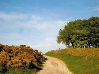 from Grindleford_f0061394_8255774.jpg