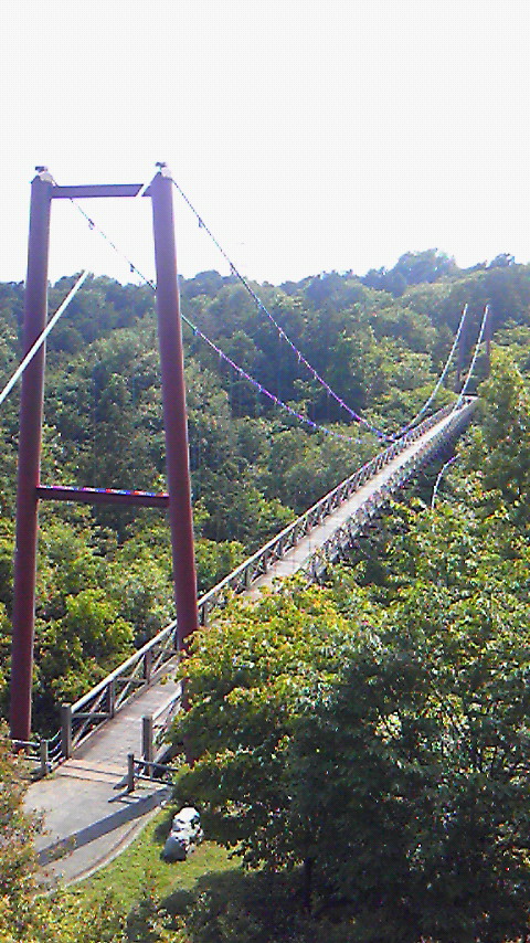 d0195997_039058.jpg
