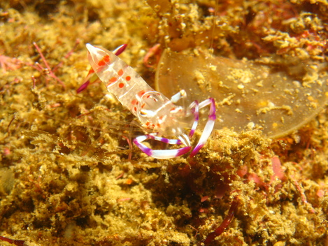e0115199_2025651.jpg