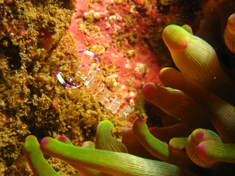 e0115199_2032661.jpg