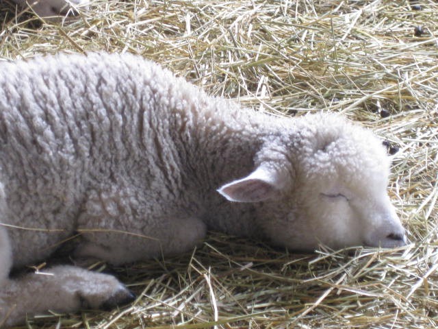 d0228206_13503224.jpg