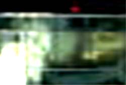 e0103408_1512057.jpg