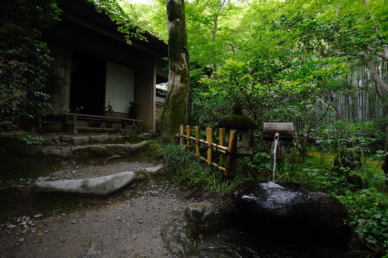 旬緑の祇王寺 其の二_f0032011_19352269.jpg