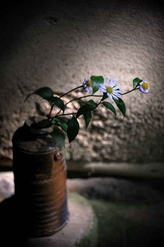 旬緑の祇王寺 其の二_f0032011_19353212.jpg