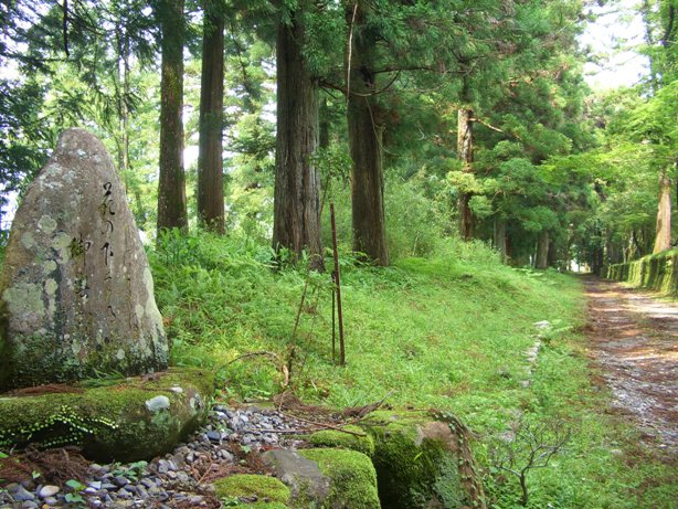 e0033713_1855050.jpg