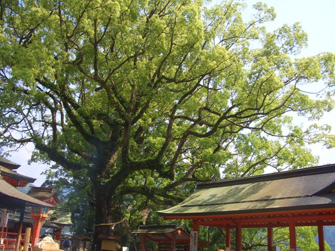 e0033713_1858250.jpg